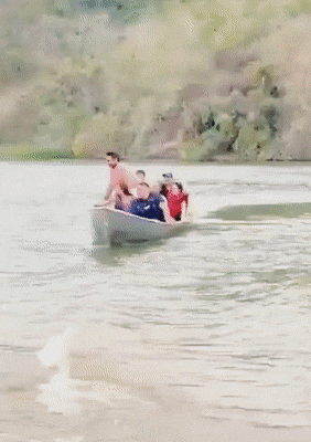 Подборка гифок -  07.04.2026