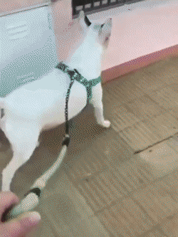 Подборка гифок -  07.04.2026