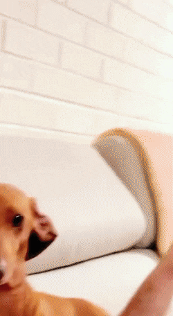 Подборка гифок -  07.04.2026