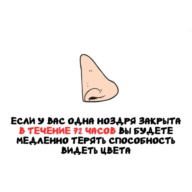 Интересные факты на все случаи жизни