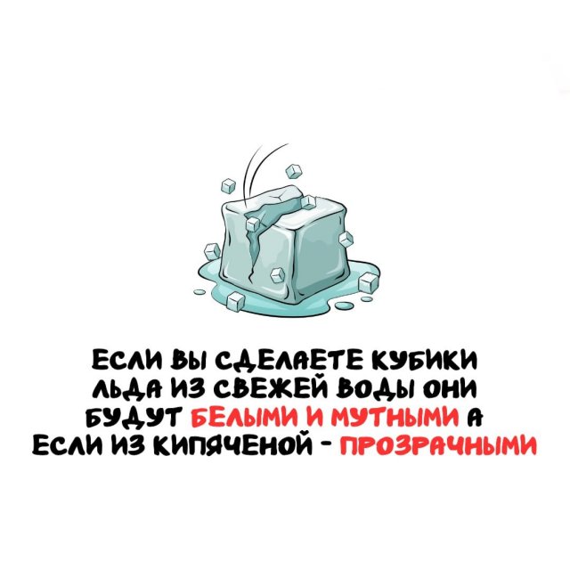 Интересные факты на все случаи жизни