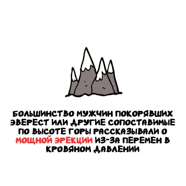 Интересные факты на все случаи жизни