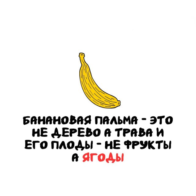 Интересные факты на все случаи жизни