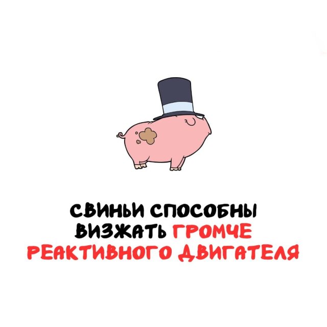 Интересные факты на все случаи жизни