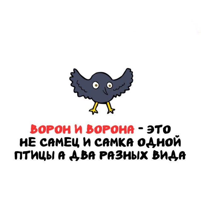 Интересные факты на все случаи жизни