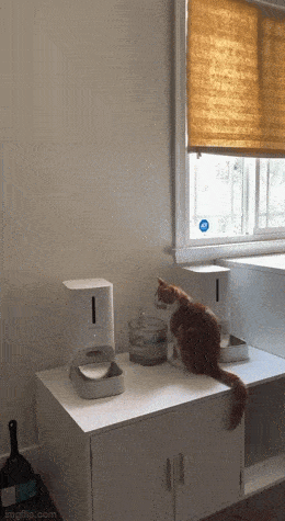 Подборка гифок -  07.04.2026