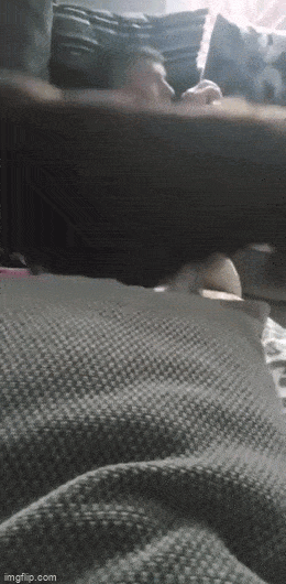 Подборка гифок -  07.04.2026