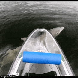 Подборка гифок -  07.04.2026