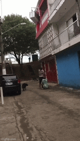 Подборка гифок -  07.04.2026