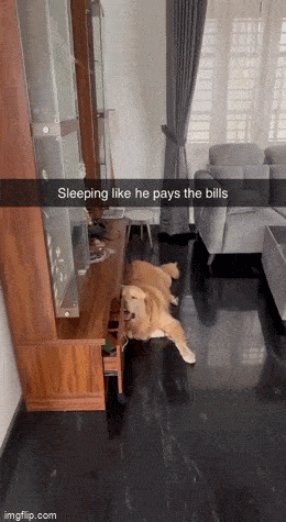 Подборка гифок -  07.04.2026