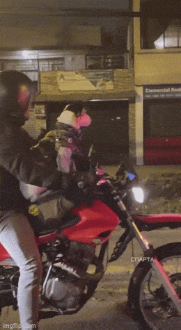 Подборка гифок -  07.04.2026