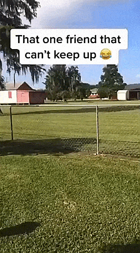 Подборка гифок -  07.04.2026