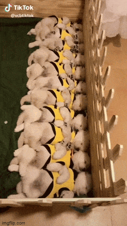 Подборка гифок -  07.04.2026