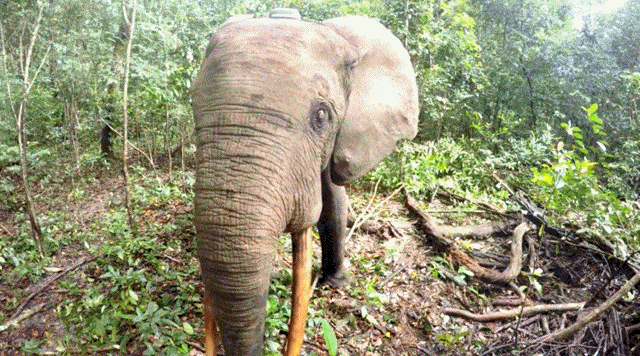 Подборка гифок -  07.04.2026
