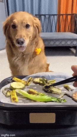 Подборка гифок -  07.04.2026