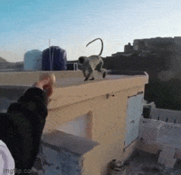 Подборка гифок -  07.04.2026