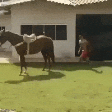 Подборка гифок -  07.04.2026