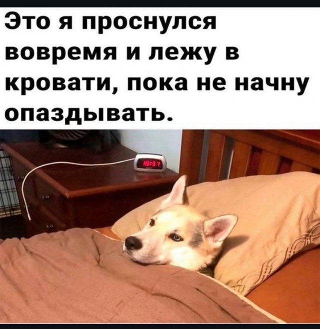 Лучшие шутки и мемы из Сети - 08.04.2026