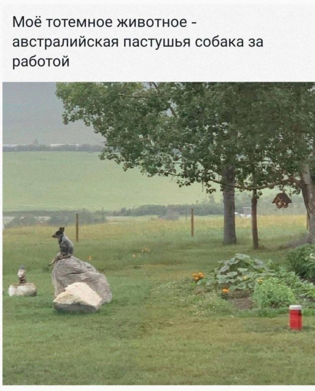 Лучшие шутки и мемы из Сети - 08.04.2026