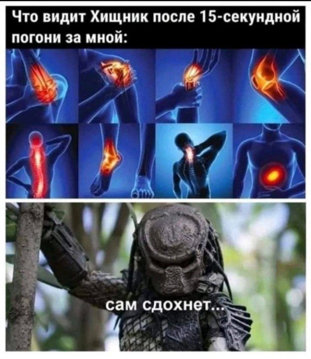 Лучшие шутки и мемы из Сети - 08.04.2026
