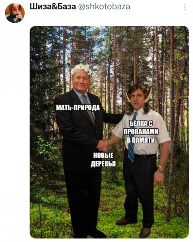 Лучшие шутки и мемы из Сети - 08.04.2026