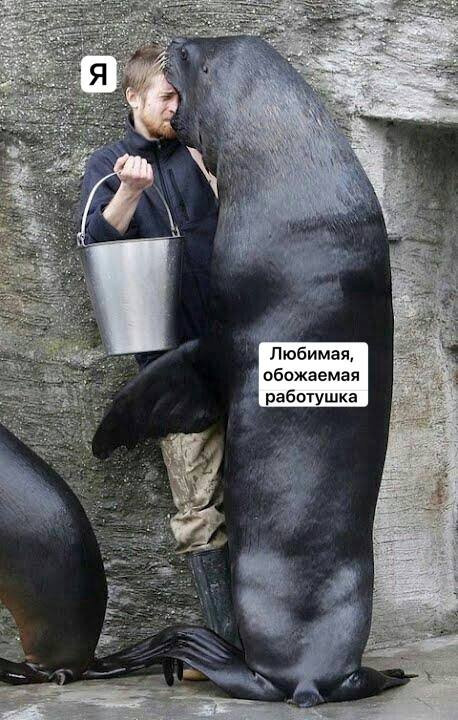 Лучшие шутки и мемы из Сети - 08.04.2026