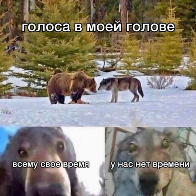Лучшие шутки и мемы из Сети - 08.04.2026