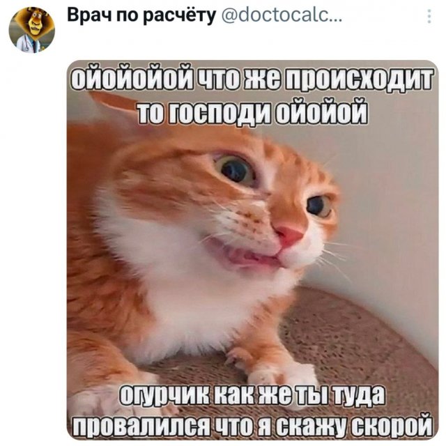 Подборка забавных твитов обо всем