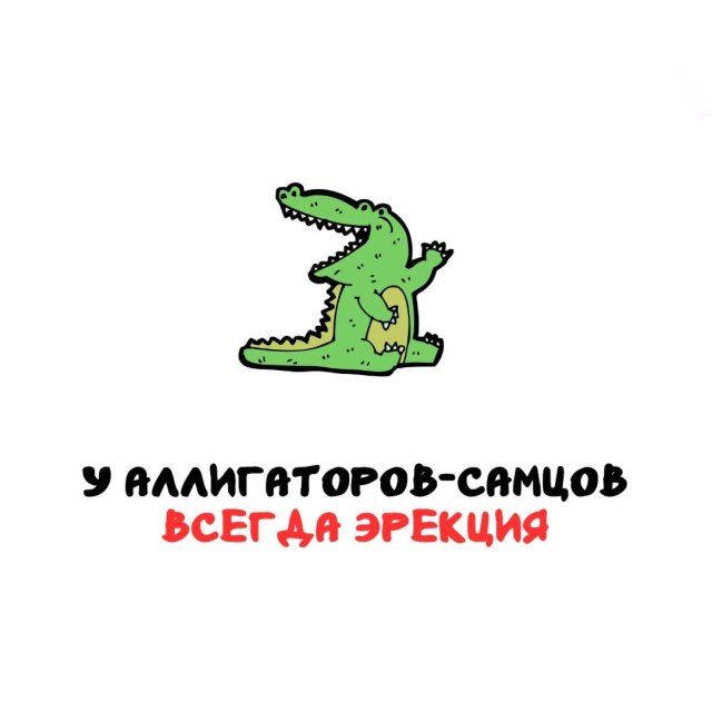 Интересные факты на все случаи жизни