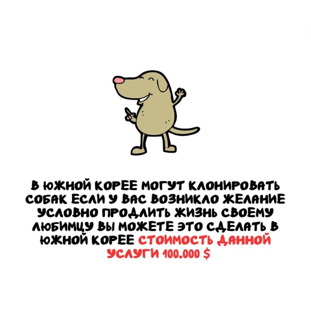 Интересные факты на все случаи жизни