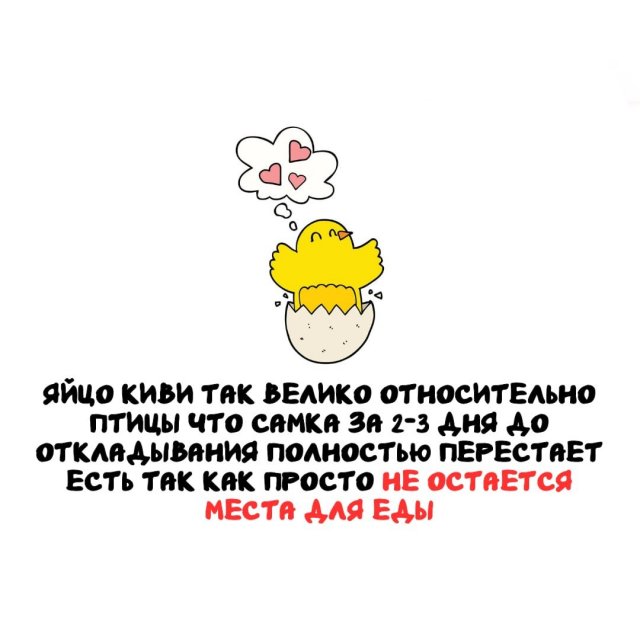 Интересные факты на все случаи жизни