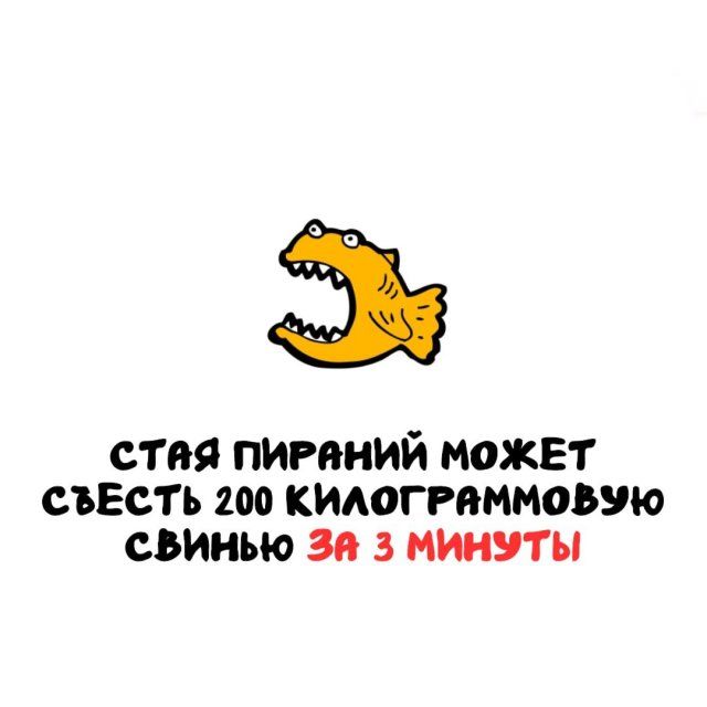 Интересные факты на все случаи жизни
