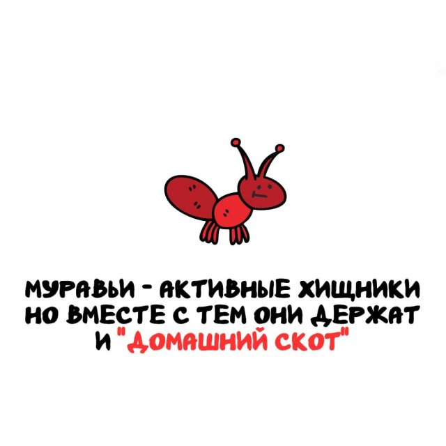 Интересные факты на все случаи жизни