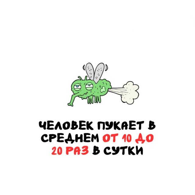 Интересные факты на все случаи жизни