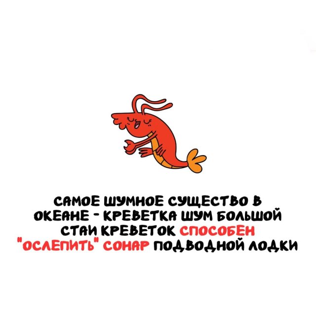 Интересные факты на все случаи жизни