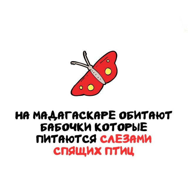 Интересные факты на все случаи жизни
