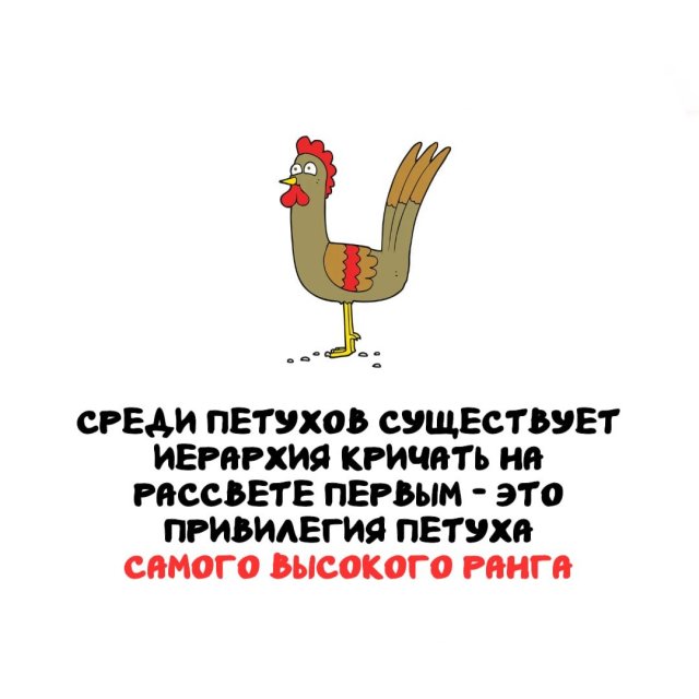 Интересные факты на все случаи жизни