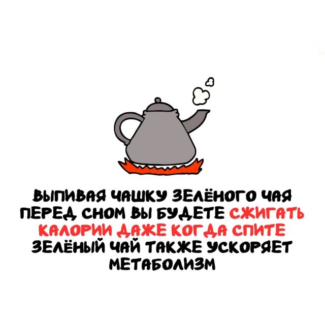 Интересные факты на все случаи жизни