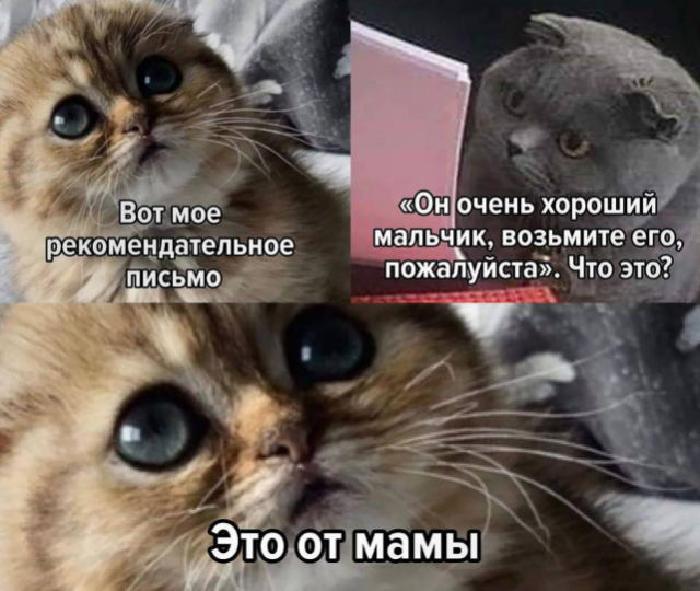 Россияне всё чаще находят работу через знакомых из-за долгого поиска вакансий