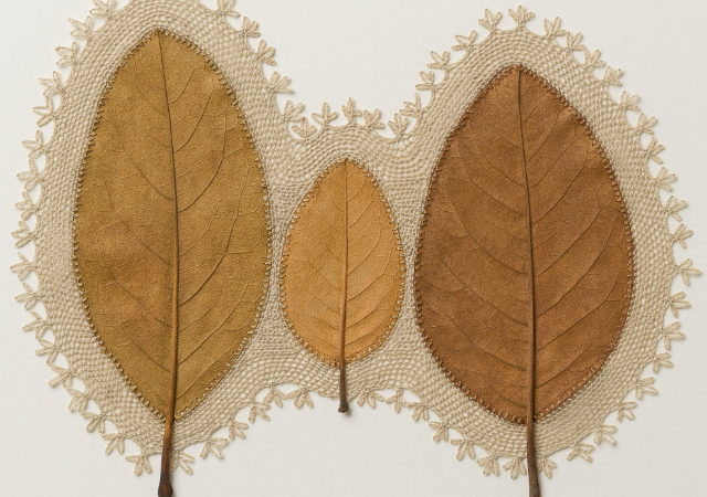 Сюзанна Бауэр превращает листья в изящные арт-скульптуры