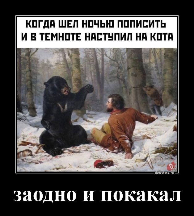 Подборка забавных демотиваторов для хорошего настроения