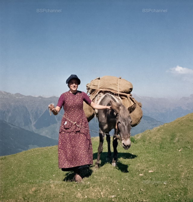 Фермерша с мулом. Швейцария, 1942 год. Фермерша с мулом. Швейцария, 1942 год.