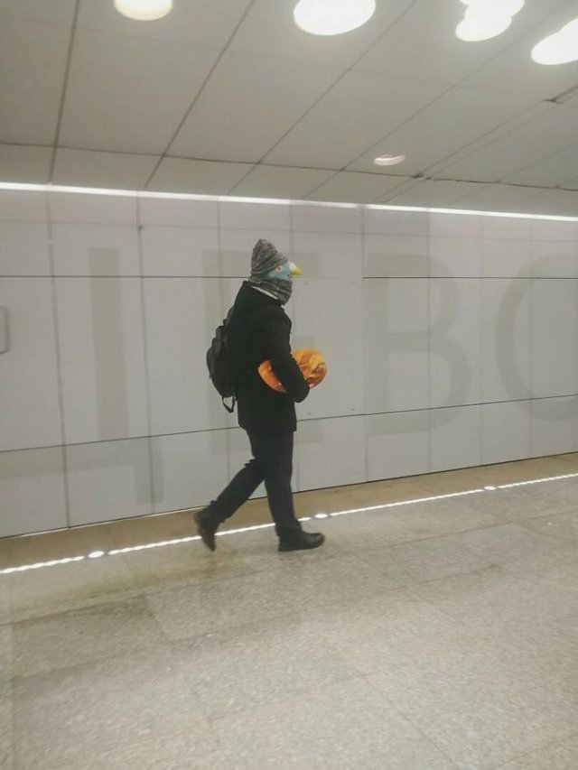Подборка картинок. Вечерний выпуск - 15.04.2026