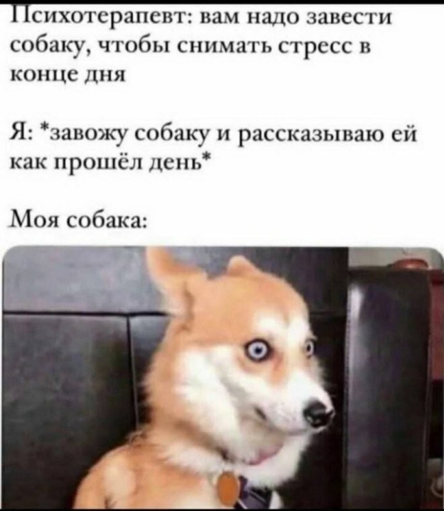 Немного юмора с просторов соцсетей
