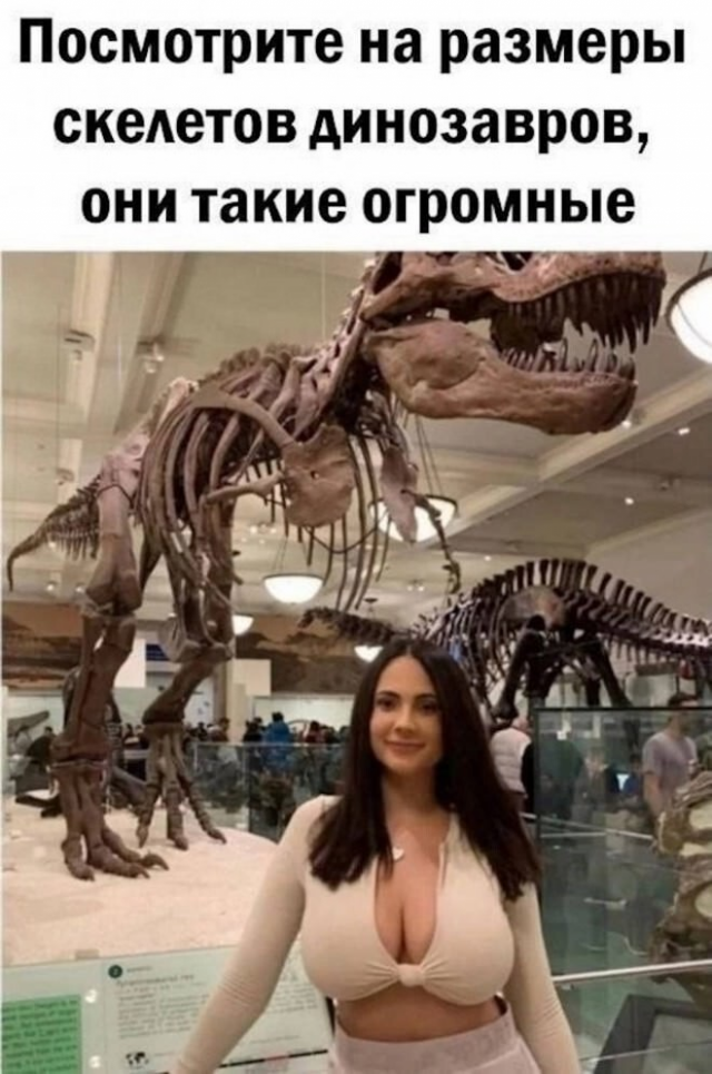 Немного юмора с просторов соцсетей