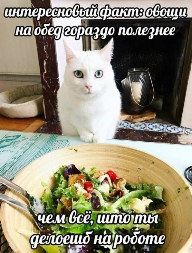 Немного юмора с просторов соцсетей