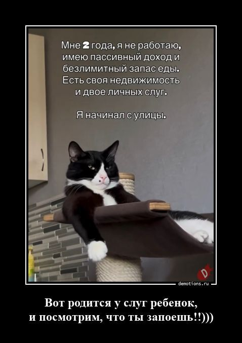 Подборка забавных демотиваторов для хорошего настроения