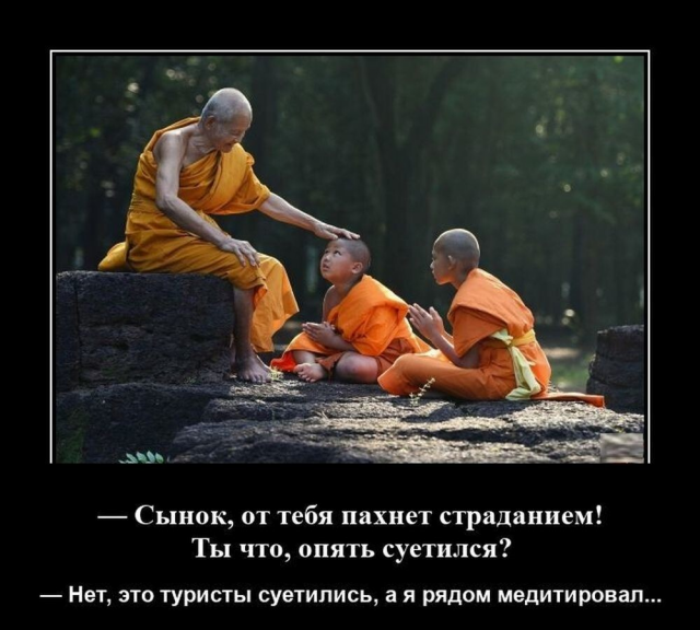 Подборка забавных демотиваторов для хорошего настроения
