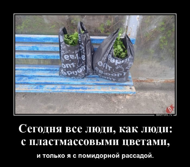 Подборка забавных демотиваторов для хорошего настроения