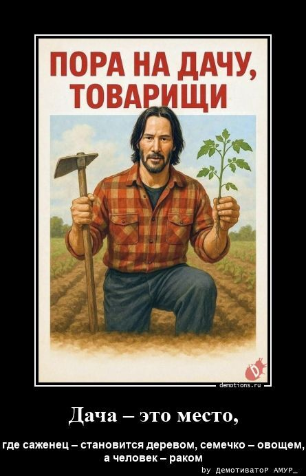 Подборка забавных демотиваторов для хорошего настроения